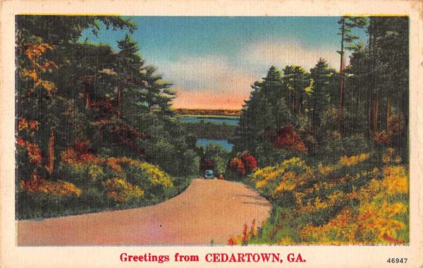 Cedartown Georgia Greetings Road Scenic View Vintage Postcard JE229522