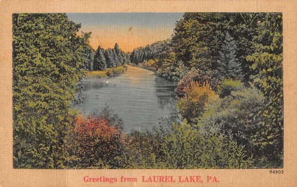 Laurel Lake Pennsylvania Greetings Scenic View Vintage Postcard JE229587