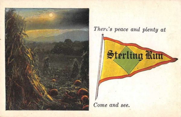 Sterling Run Pennsylvania ? Greetings Pennant Flag Pumpkin Patch PC JE229623