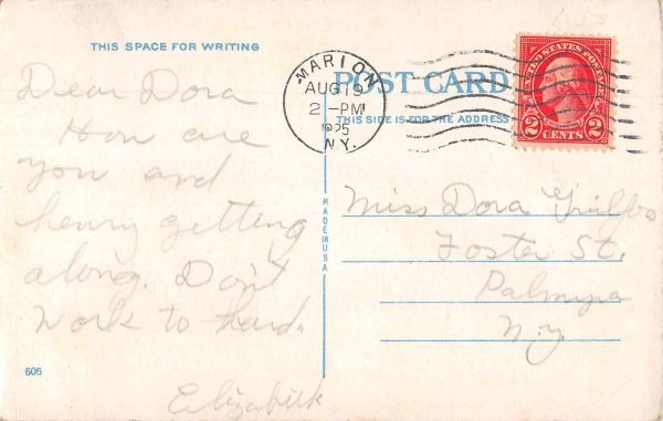 Marion New York Greetings Cows Vintage Postcard JE229723 - Image 2