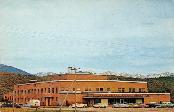 Thayne Wyoming Star Valley Swiss Cheese Co Vintage Postcard JE229751