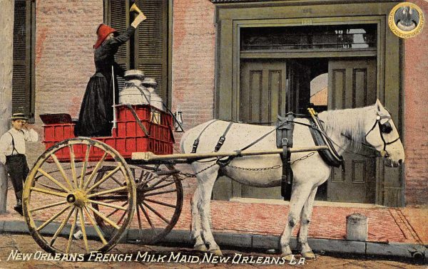 New Orleans Louisiana French Milk Maid in Horse Carriage Postcard JE229773