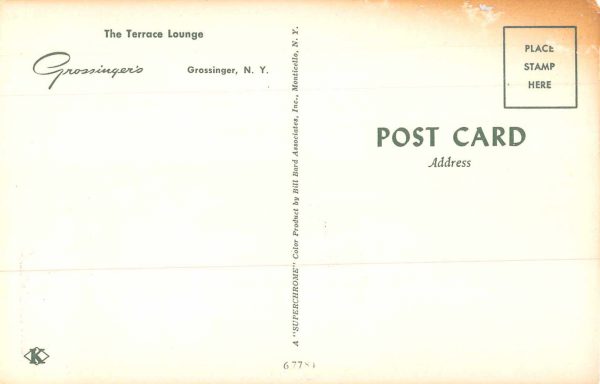 Grossinger New York Grossinger's Terrace Lounge Vintage Postcard JE229824 - Image 2