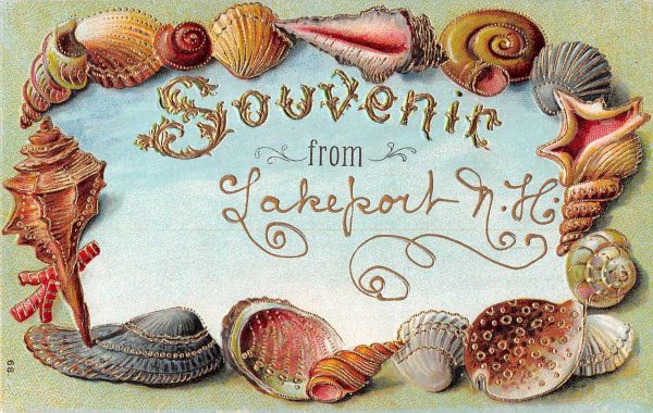 Lakeport New Hampshire Souvenir Sea Shell Border Vintage Postcard JE229863