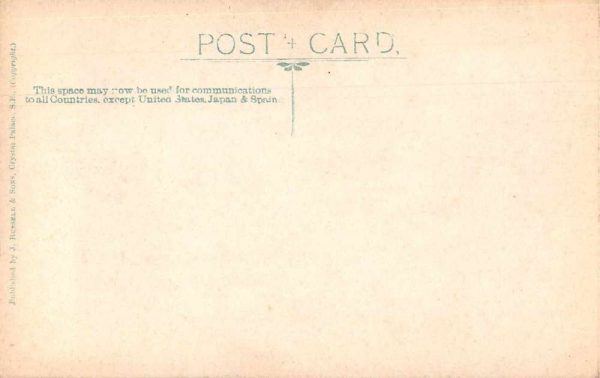 Child Costume Dressed as Nutcracker Real Photo Vintage Postcard JF686725 - Image 2