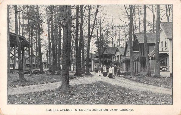 Sterling Junction Camp Ground Laurel Avenue Vintage Postcard JF686450