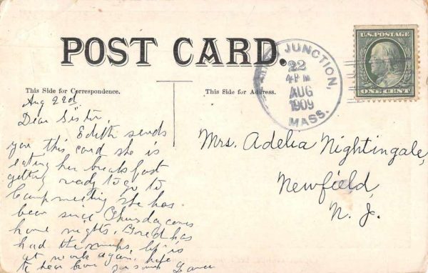 Sterling Junction Camp Ground Laurel Avenue Vintage Postcard JF686450 - Image 2