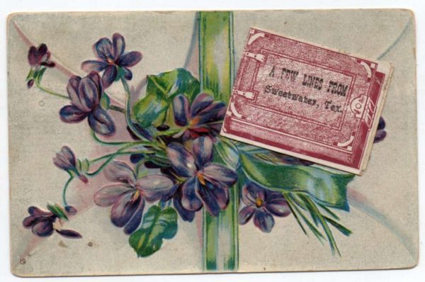 Sweetwater Texas Greetings Novelty Fold Out Vintage Postcard JF686477