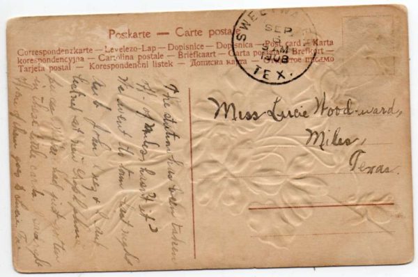 Sweetwater Texas Greetings Novelty Fold Out Vintage Postcard JF686477 - Image 2