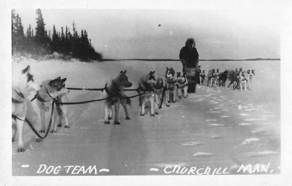 Churchill Canada Dog Team Real Photo Vintage Postcard JF686481