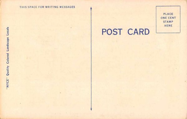 Rush City Minnesota Greetings Cows Grazing Vintage Postcard JF686595 - Image 2