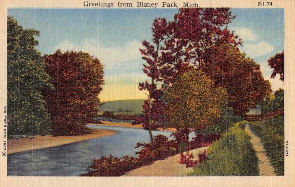 Blaney Park Michigan Greetings Road Scenic Vintage Postcard JF686664