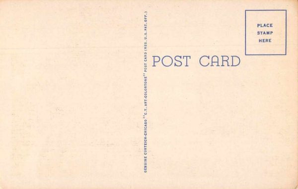 Blaney Park Michigan Greetings Road Scenic Vintage Postcard JF686664 - Image 2
