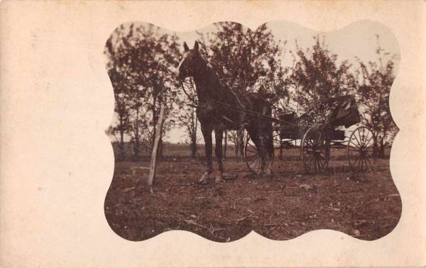 Cheney Kansas Horse Carriage Real Photo Vintage Postcard JF686673