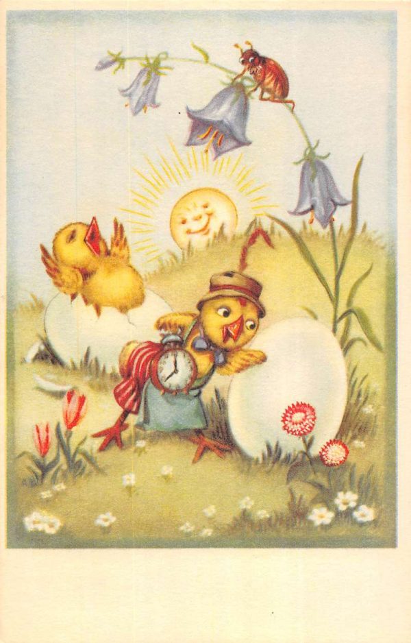 Dressed chick hatching eggs ladybug on flower smiling sun antique pc ZB548003