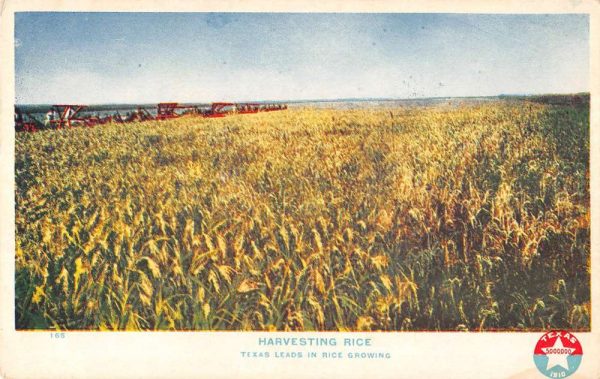 Texas rice field state leads in rice growing antique pc ZB548008