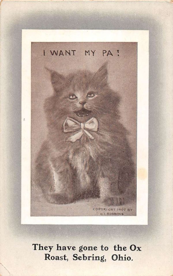 Sebring Ohio gone to Ox Roast kitten "I Want My Pa!" antique pc ZB548019