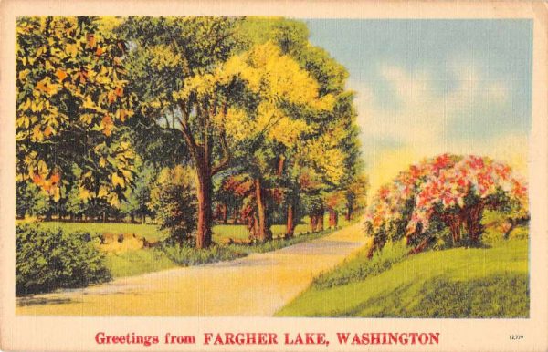 Fargher Lake Washington Greetings Flowers Road Scenic Vintage Postcard JF686864