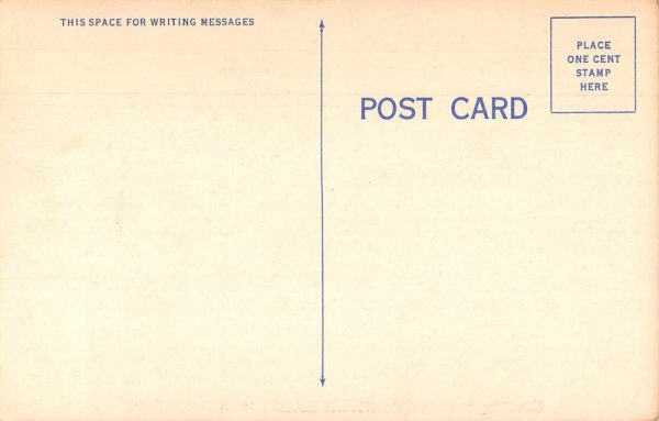 Fargher Lake Washington Greetings Flowers Road Scenic Vintage Postcard JF686864 - Image 2