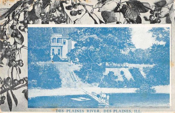 Des Plaines Illinois River Boat Pier Vintage Postcard JF686936