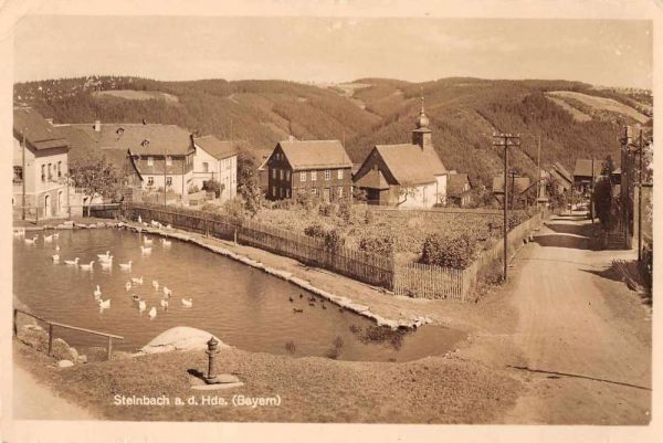 Steinbach ad Haide Germany Swans in Pond Real Photo Vintage Postcard JF235003
