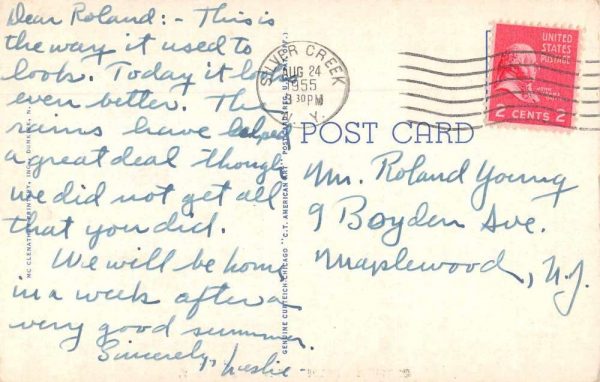 Silver Creek New York Greetings Grape Harvesting Vintage Postcard JF235034 - Image 2