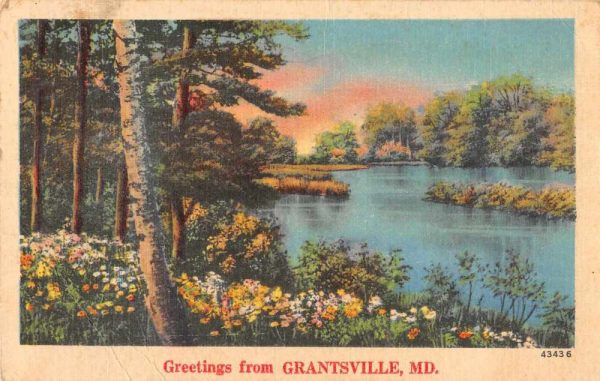 Grantsville Maryland Greetings Scenic View Vintage Postcard JF235057