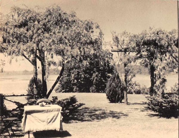 Smithtown Long Island New York Oakside Wysteria Pergola Real Photo PC JF235122