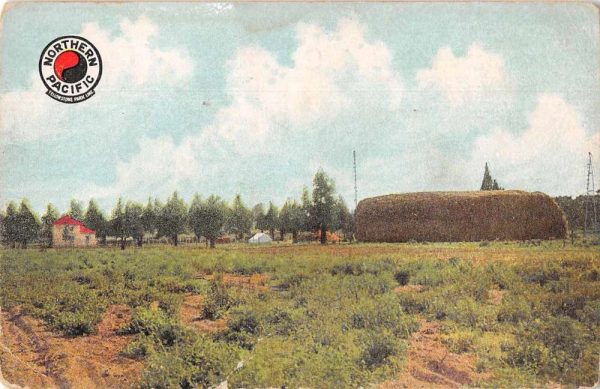 Central Oregon Irrigated Land Along Railway Farming Scene Postcard JE359108