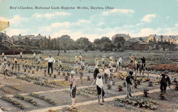 Dayton Ohio Cash Register Works Boy's Garden Vintage Postcard JE359189
