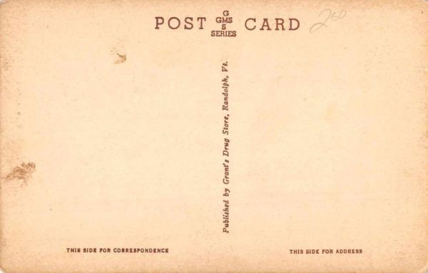 Randolf Vermont Tower at Bear Hill Scenic View Vintage Postcard JE359191 - Image 2