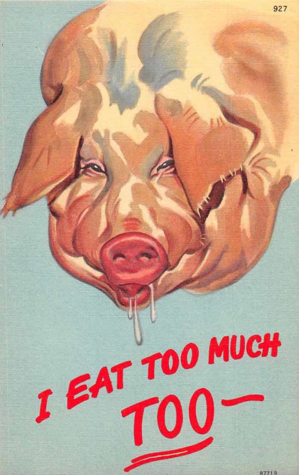 Pig "I Eat Too Much Too" Greetings Animal Comic Vintage Postcard JE359242