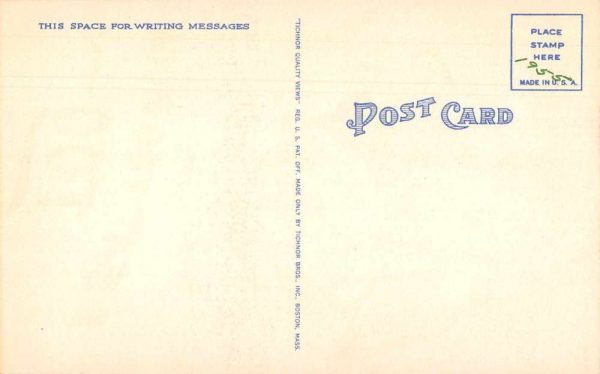 Pig "I Eat Too Much Too" Greetings Animal Comic Vintage Postcard JE359242 - Image 2