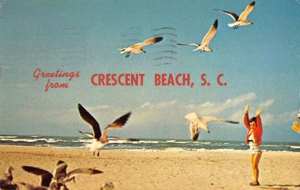 Crescent Beach South Carolina Greetings From child sea gulls vintage pc ZA440843