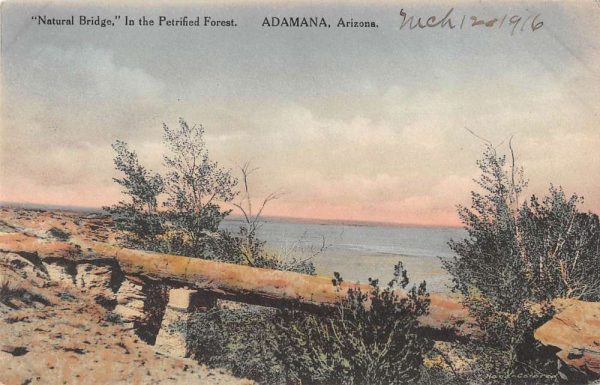 Adamana Arizona "Natural Bridge" in Petrified Forest antique pc ZA440859