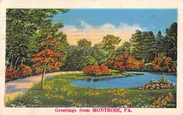 Montrose Pennsylvania Greetings Scenic View Vintage Postcard JE359565