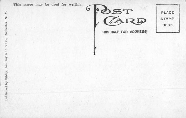 Rochester New York Holy Sepulcher Cemetery Bishop's Walk Postcard JE359588 - Image 2