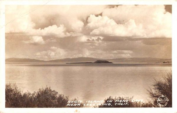 Leevining California Negit Island Mono Lake by Thrasher real photo pc ZD549516