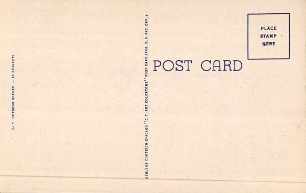 Rio New York Greetings From boats trees shoreline linen antique pc ZD549557 - Image 2
