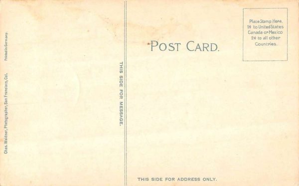 California "After the Rabbit Drive" men and boys antique pc ZD549614 - Image 2