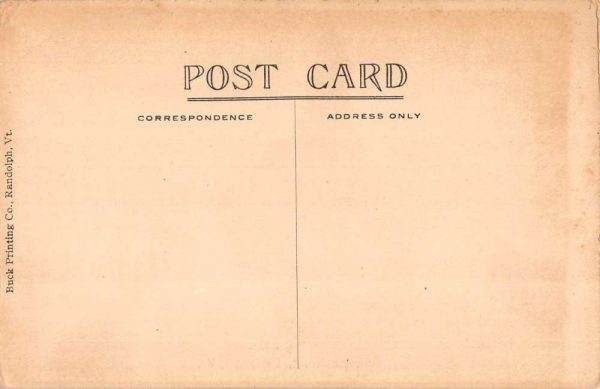 Randolph Vermont birds eye view Summer St horse buggy antique pc ZD549757 - Image 2