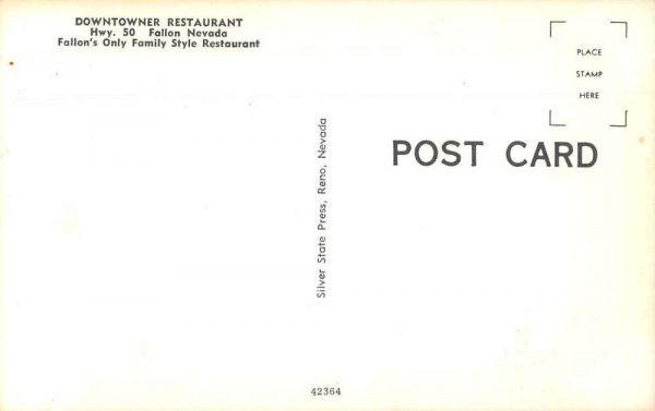 Fallon Nevada Downtowner Restaurant family style vintage pc ZD549865 - Image 2
