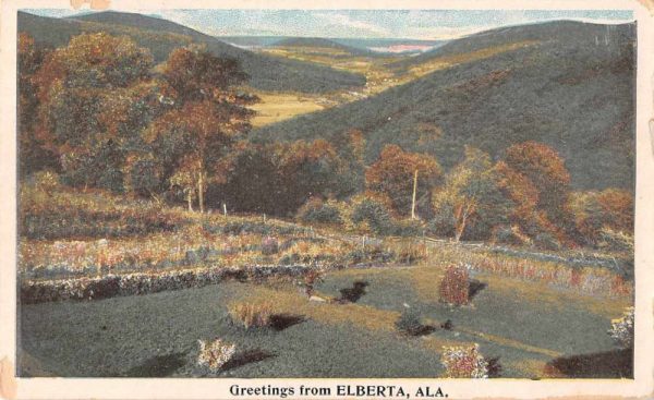 Elberta Alabama Greetings Birds Eye View Vintage Postcard JE359733
