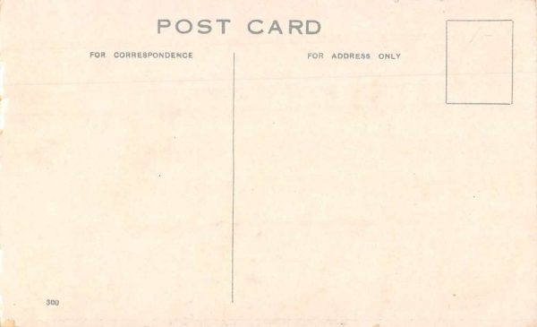 Elberta Alabama Greetings Birds Eye View Vintage Postcard JE359733 - Image 2