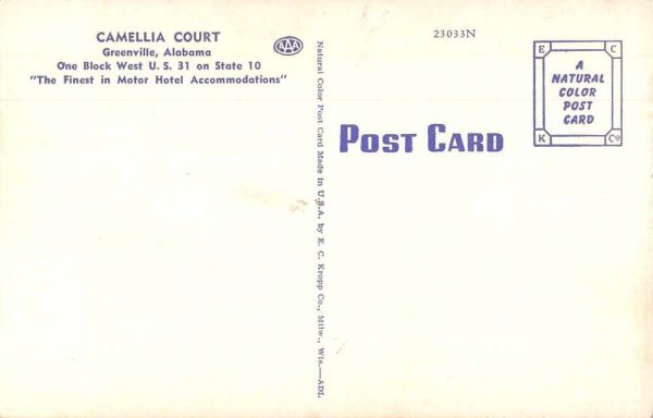 Greenville Alabama Camellia Court Vintage Postcard JE359784 - Image 2
