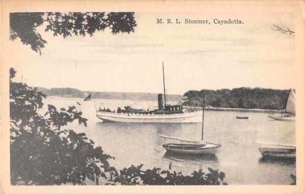 Woods Hole Massachusetts MBL Steamer Cayadetta Vintage Postcard JF360030