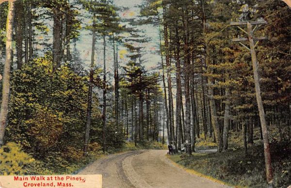 Groveland Massachusetts The Pines the Main Walk Vintage Postcard JF360119