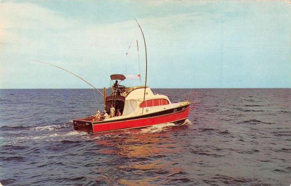 Ocean City Maryland Sport Fishing Boat Advertising Postcard JF360193