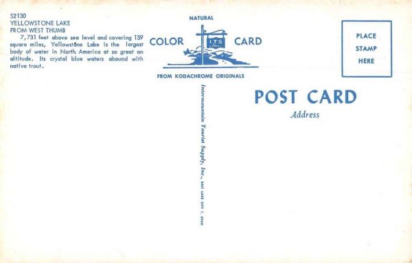 Yellowstone Lake from West Thumb Beach Scene Vintage Postcard JF360360 - Image 2