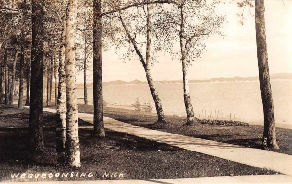 Wequetonsing Michigan Scenic View Real Photo Vintage Postcard JF360404